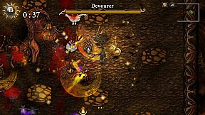 Striving for Light: Survival