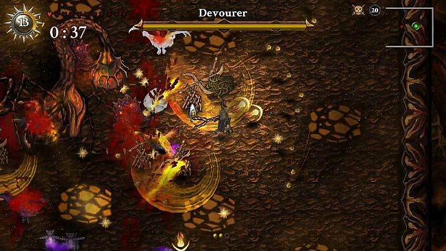 Striving for Light: Survival