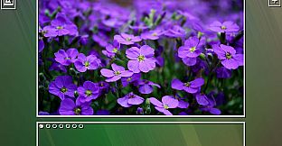Super Jigsaw Puzzle: Generations - Flowers Puzzles