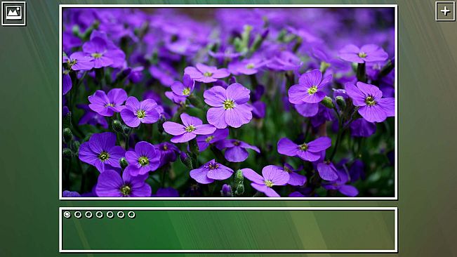 Super Jigsaw Puzzle: Generations - Flowers Puzzles