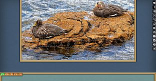 Jigsaw Puzzle Pack - Pixel Puzzles Ultimate: PP2 Birds