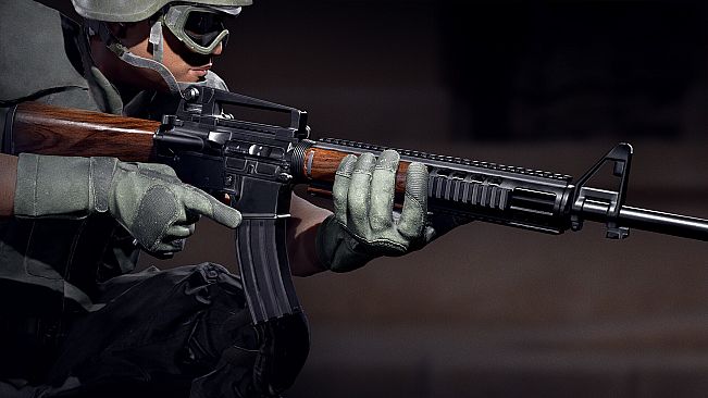 Insurgency: Sandstorm - Woodwork Weapon Skin Set