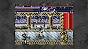 Earnest Evans Collection