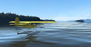 RealFlight Evolution – Hangar 9 J-3 Cub 10cc