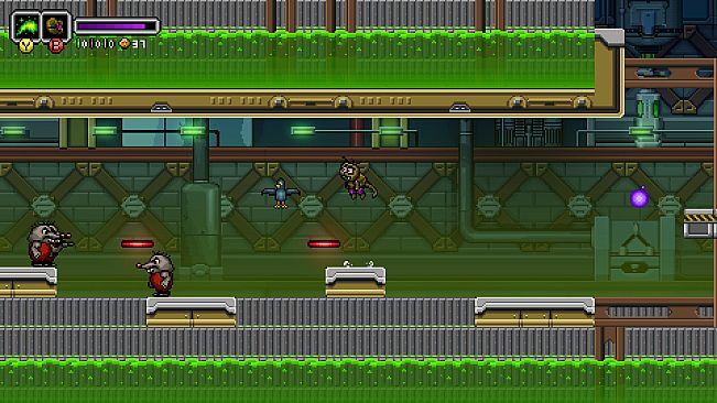 Fermi The Radioactive Hodgepodge