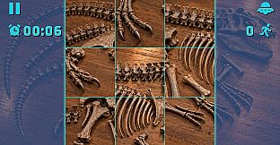 Puzzle Dinosaur Skeletons