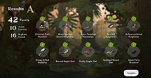 Junior Birder Adventure