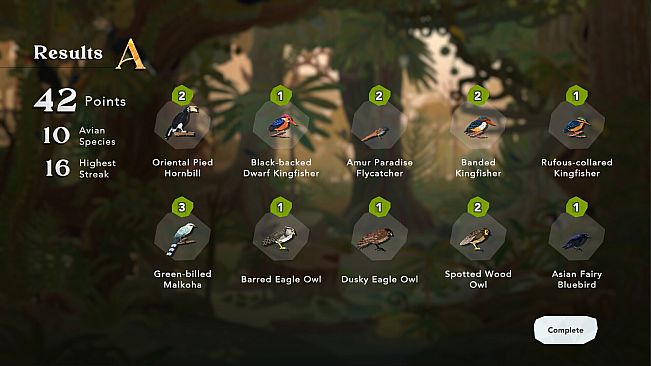Junior Birder Adventure