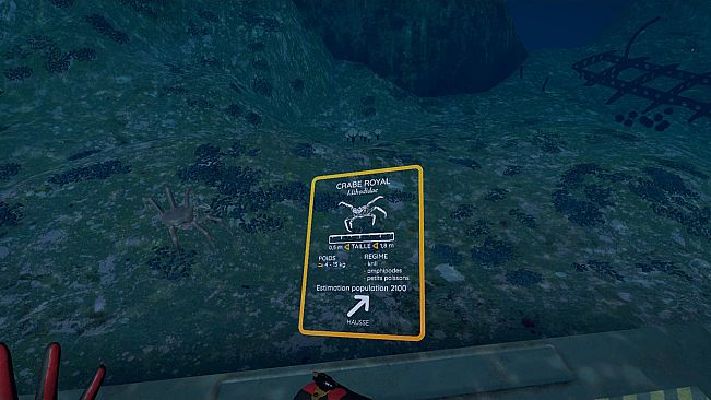 Virtual Arctic Expedition