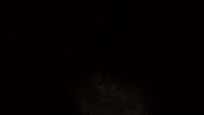 Sciophobia: The Fear of Shadows