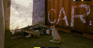 Little Strays: Deluxe Edition