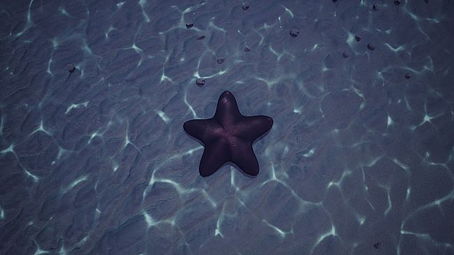 Starfish Simulator