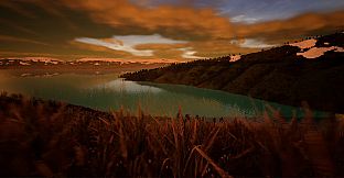 Tree Hugging Simulator