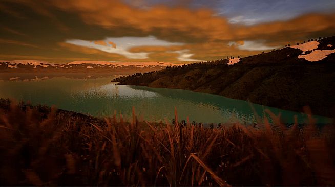 Tree Hugging Simulator