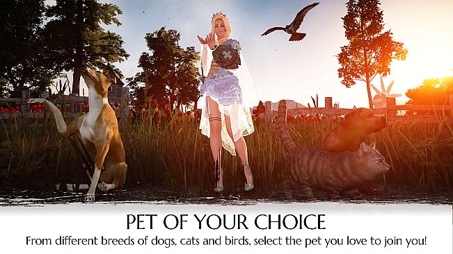 Black Desert Online - Traveler's Package