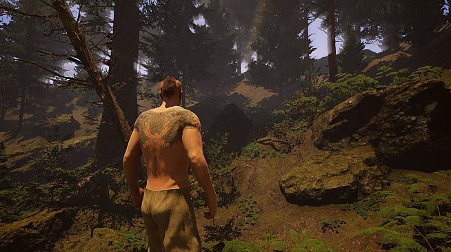 Viking Age: Odin's Warrior