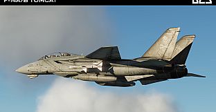 DCS: F-14A/B Tomcat by Heatblur Simulations