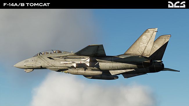 DCS: F-14A/B Tomcat by Heatblur Simulations