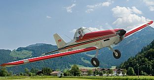 RealFlight Evolution - 2023 Year Content Pass