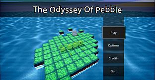 The Odyssey Of Pebble