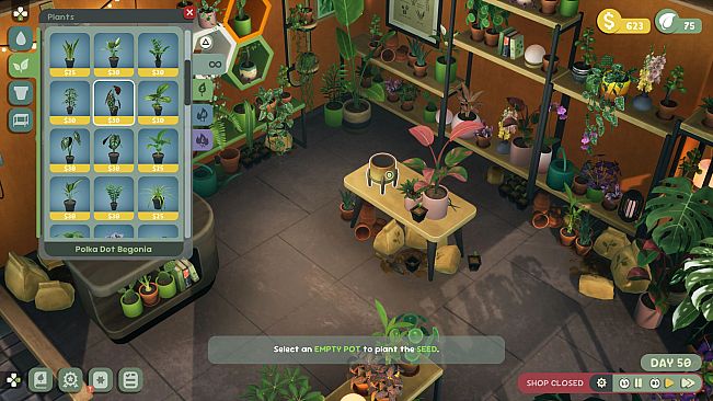 Leafy Corner