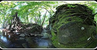 Exhale XR - Youthful Dreams