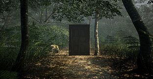 Obey the Rules: Forest