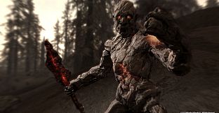 The Elder Scrolls V: Skyrim - Dragonborn