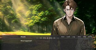 The Witch In The Woods