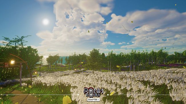 RONIN: Two Souls CHAPTER 1