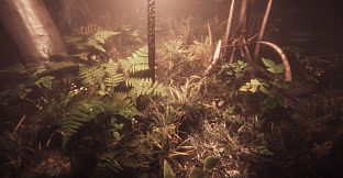 Escape the Ayuwoki - The Summoning