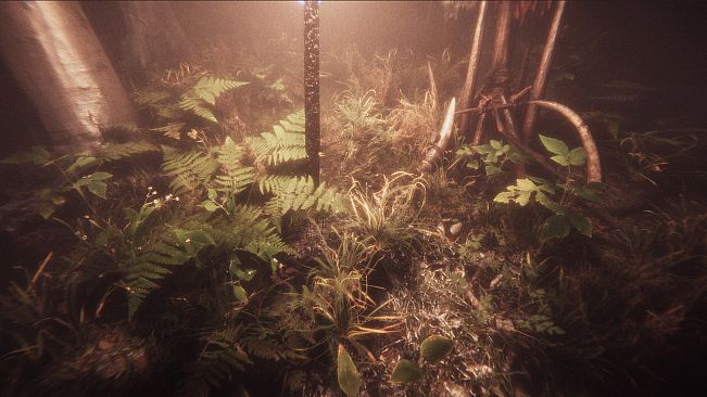 Escape the Ayuwoki - The Summoning