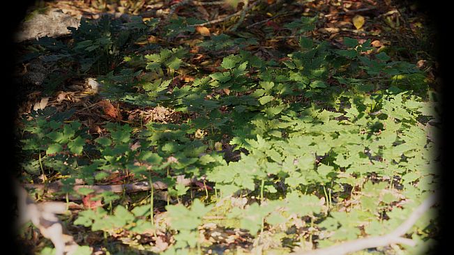 Russian Soul Simulator