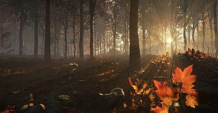 theHunter Call of the Wild - New England Mountains