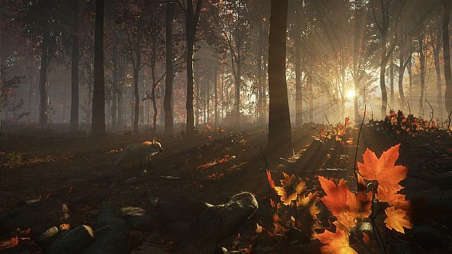 theHunter Call of the Wild - New England Mountains