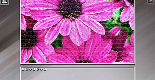 Super Jigsaw Puzzle: Generations - Flowers 2