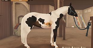 Fernhoof Grove: Riding Academy