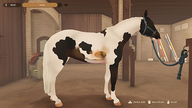 Fernhoof Grove: Riding Academy