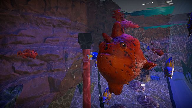Aquarist - Asian Fish DLC