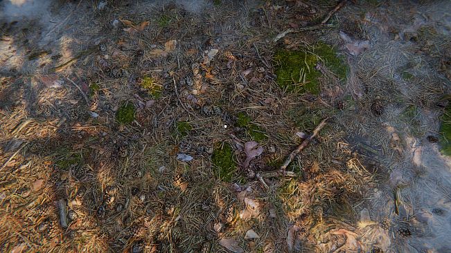 СИМУЛЯТОР ОДИНОЧЕСТВА В РУССКОЙ ДЕРЕВНЕ