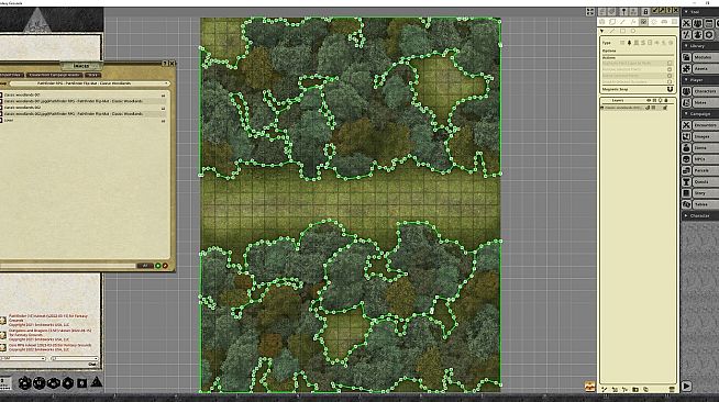 Fantasy Grounds - Pathfinder RPG - Pathfinder Flip-Mat - Classic Woodlands
