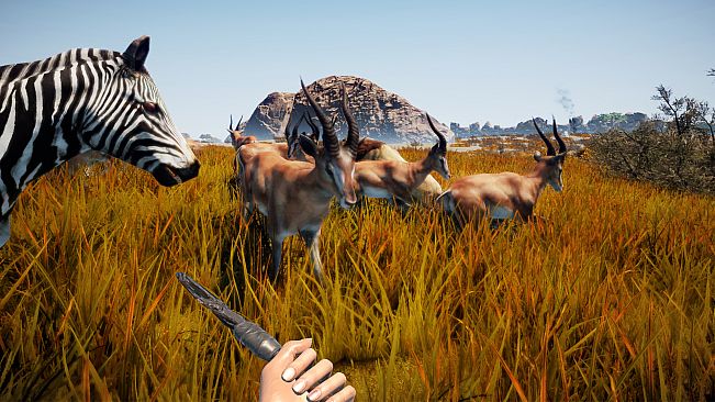 Animallica - Official Soundtrack