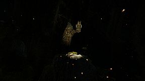 Shinrin-yoku: Forest Meditation and Relaxation