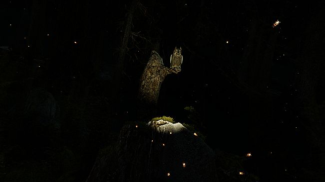 Shinrin-yoku: Forest Meditation and Relaxation