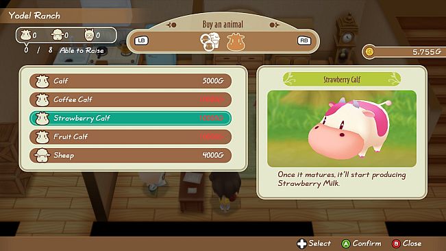STORY OF SEASONS: Friends of Mineral Town