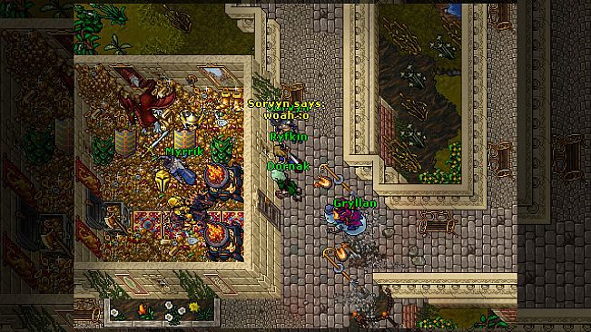 Tibia