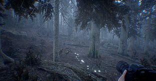 Photography Simulator