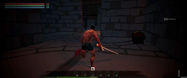 Adventurer's Gambit: Dungeons of Fortune