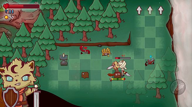 The Secrets of the Forest