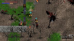 Skautfold: Into the Fray